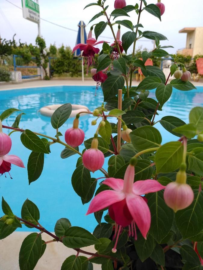 Creta Sun Hotel Studios Agia Pelagia  Luaran gambar