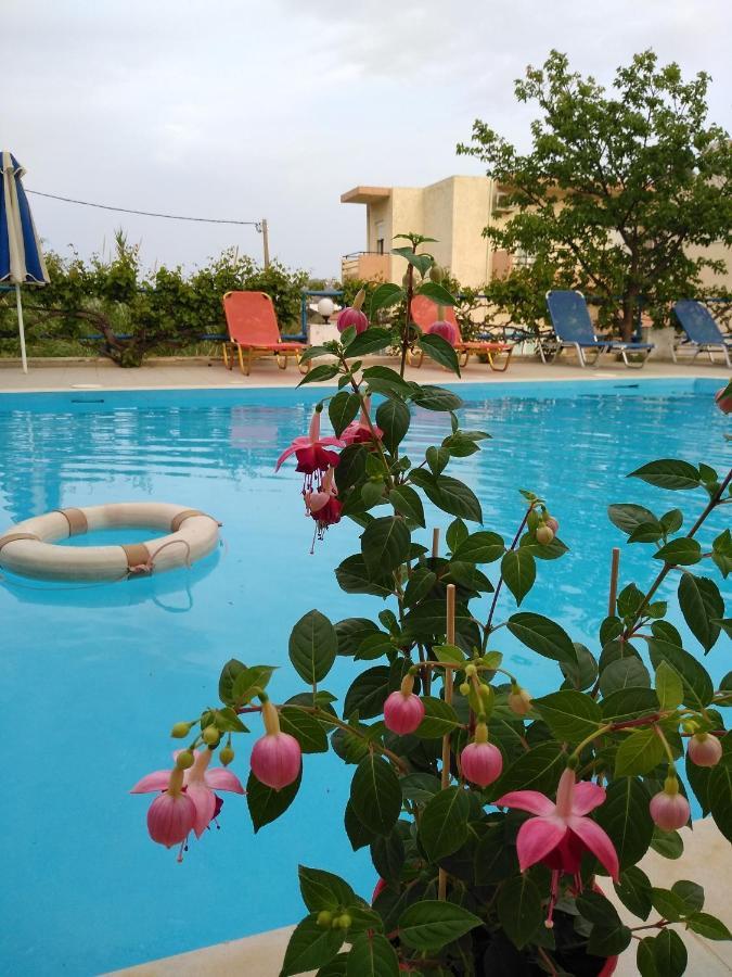 Creta Sun Hotel Studios Agia Pelagia  Luaran gambar