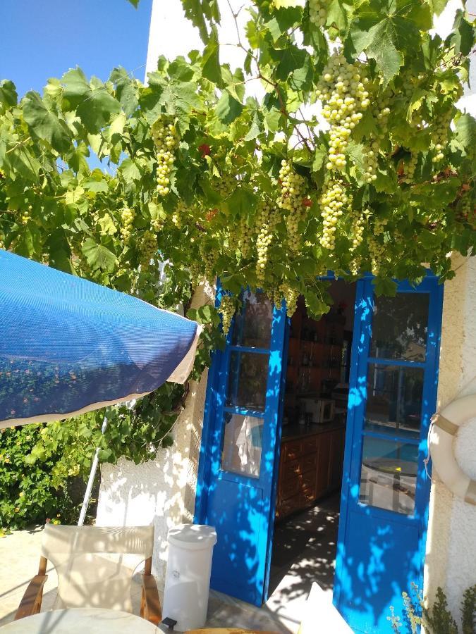 Creta Sun Hotel Studios Agia Pelagia  Luaran gambar