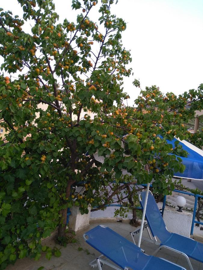 Creta Sun Hotel Studios Agia Pelagia  Luaran gambar