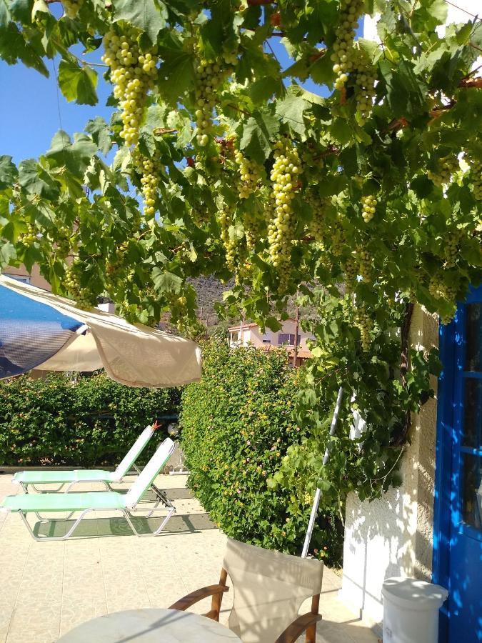 Creta Sun Hotel Studios Agia Pelagia  Luaran gambar