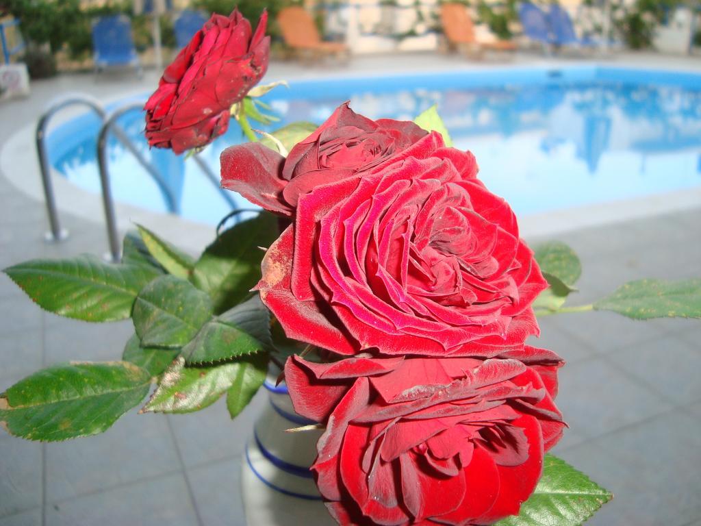 Creta Sun Hotel Studios Agia Pelagia  Luaran gambar