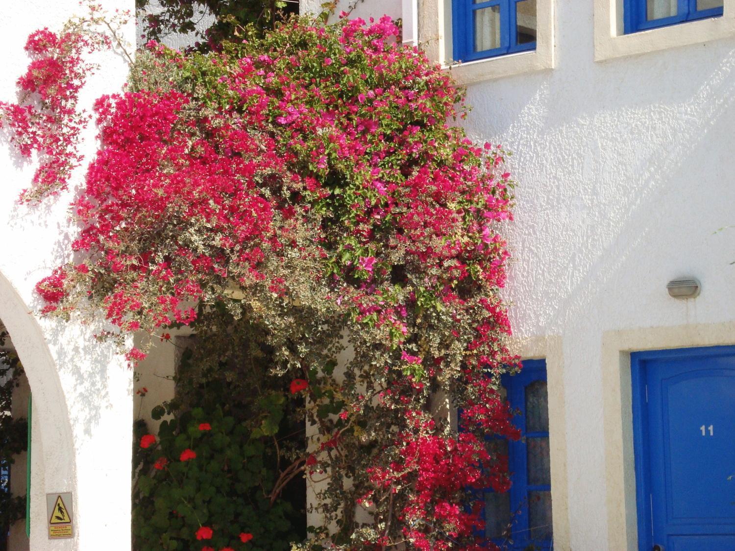 Creta Sun Hotel Studios Agia Pelagia  Luaran gambar