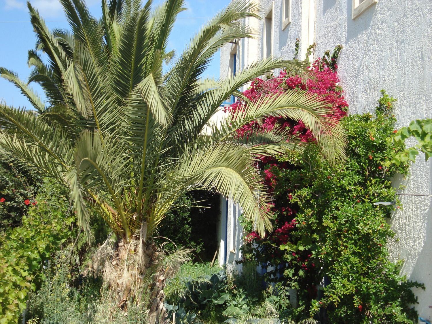 Creta Sun Hotel Studios Agia Pelagia  Luaran gambar