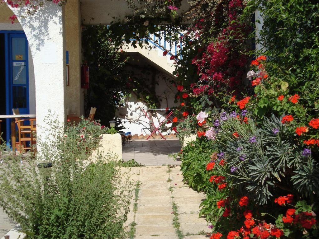 Creta Sun Hotel Studios Agia Pelagia  Luaran gambar